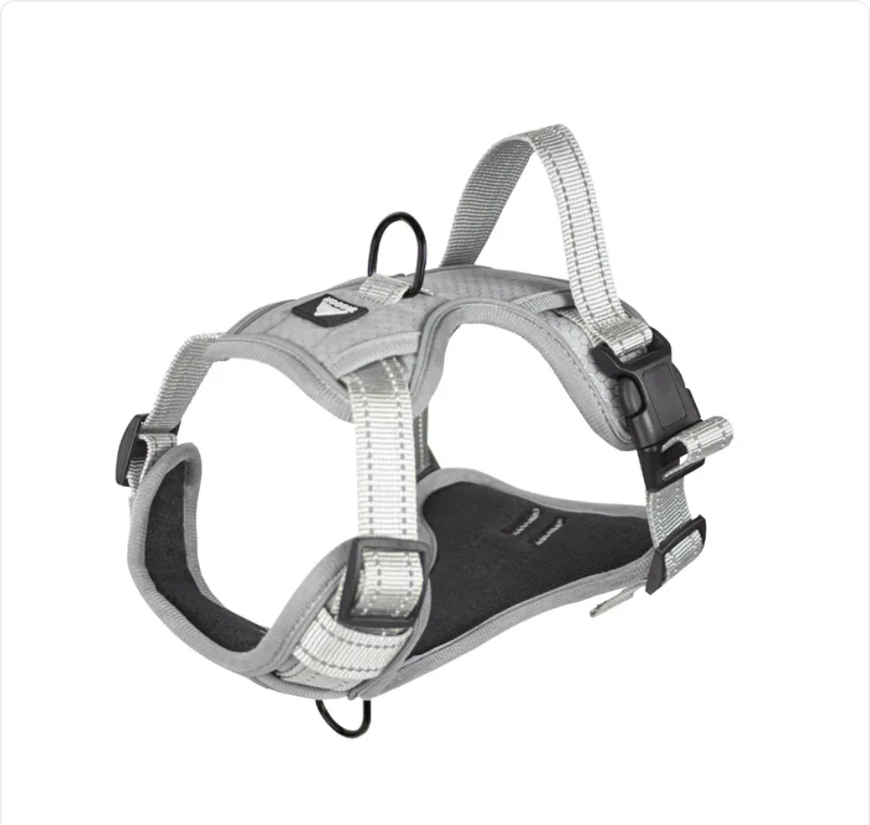 Pawden Night Walk Harness - Reflective No-Pull Dog Harness