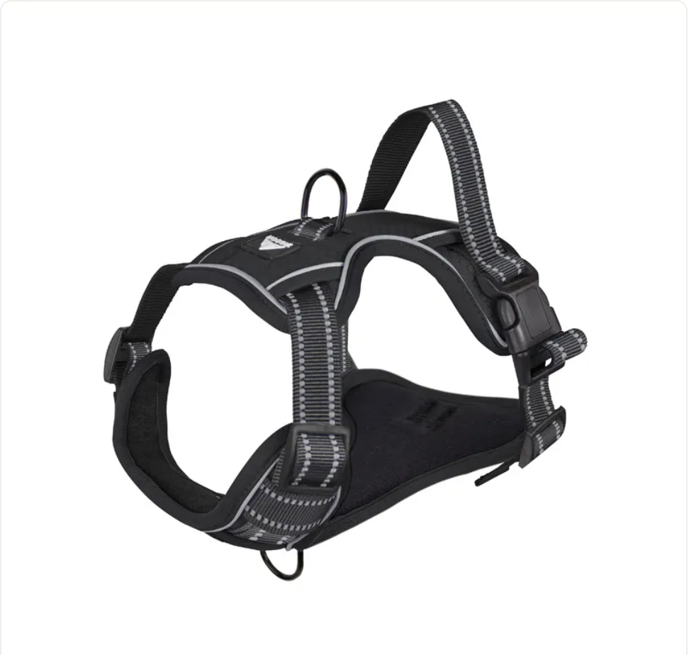 Pawden Night Walk Harness - Reflective No-Pull Dog Harness