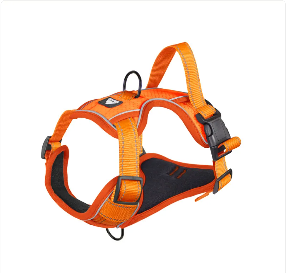 Pawden Night Walk Harness - Reflective No-Pull Dog Harness