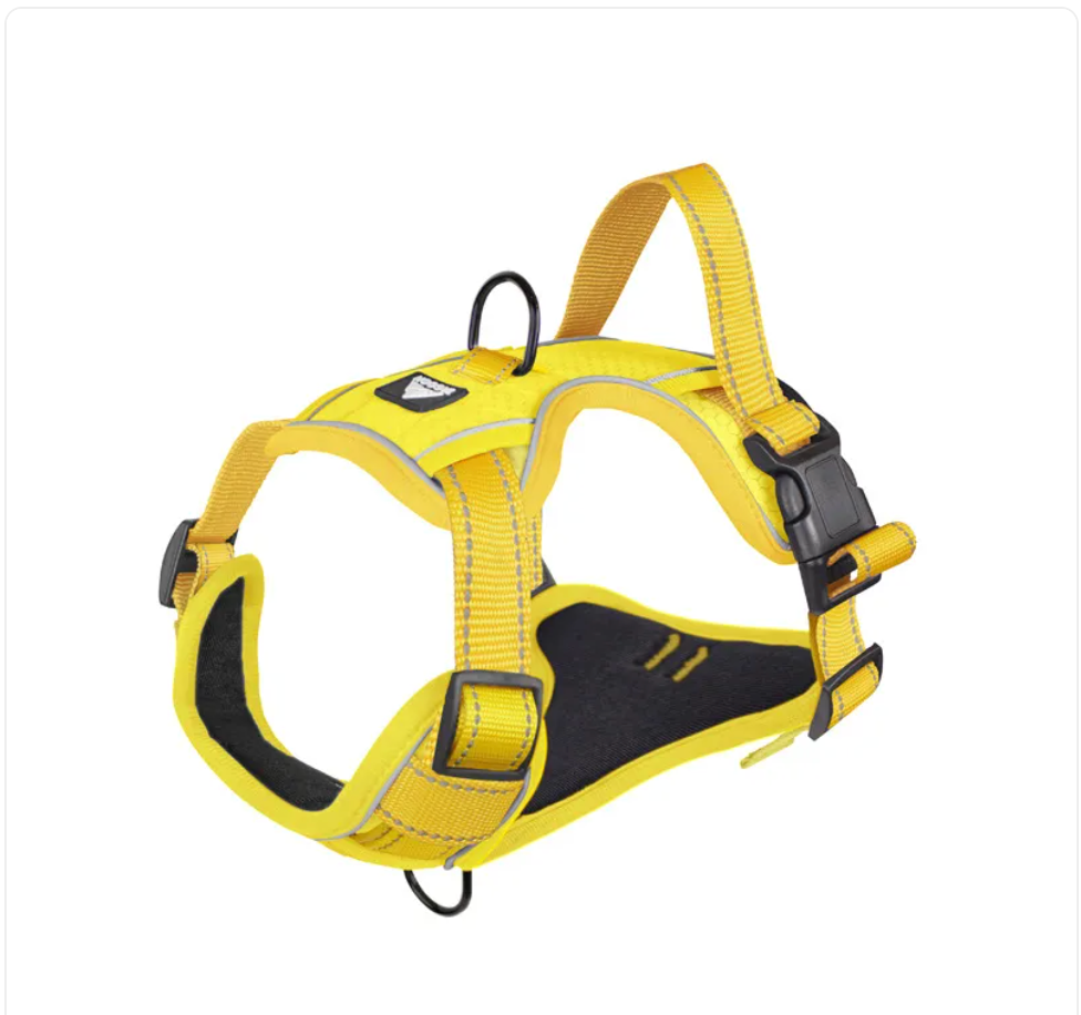Pawden Night Walk Harness - Reflective No-Pull Dog Harness