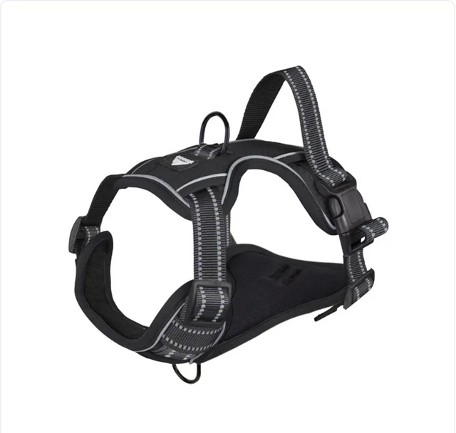 Pawden reflective no-pull dog harness in black for safe night walks