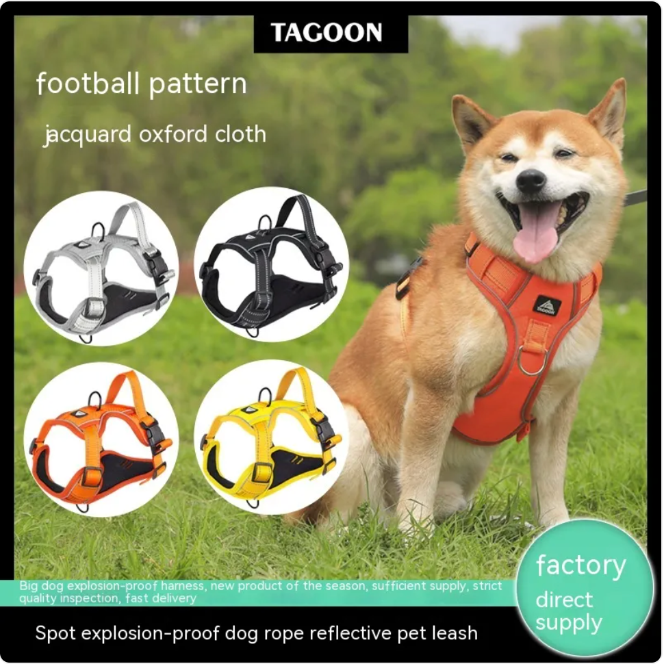 Pawden Night Walk Harness - Reflective No-Pull Dog Harness